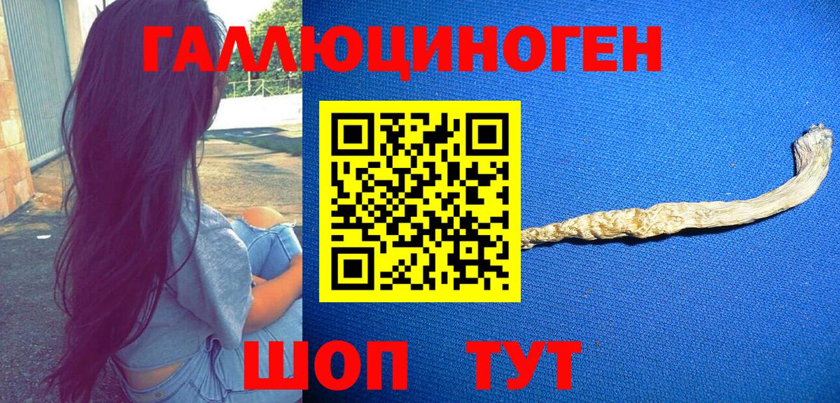 Псилоцибиновые грибы мицелий Алатырь