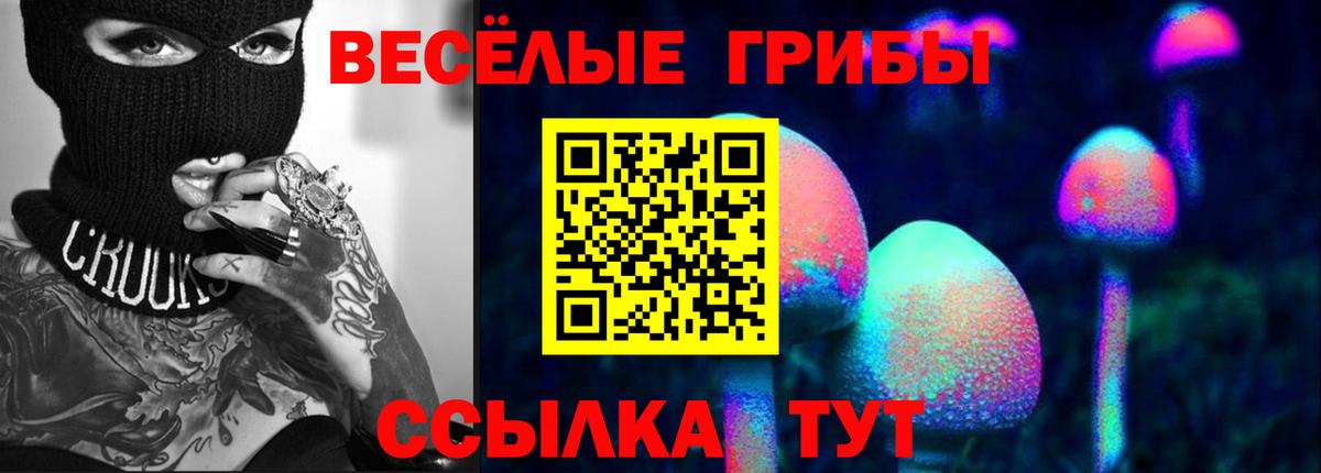 Псилоцибиновые грибы ЛСД  Вход с VPN  Алатырь 